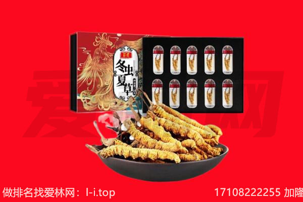 许昌回收虫草.jpg